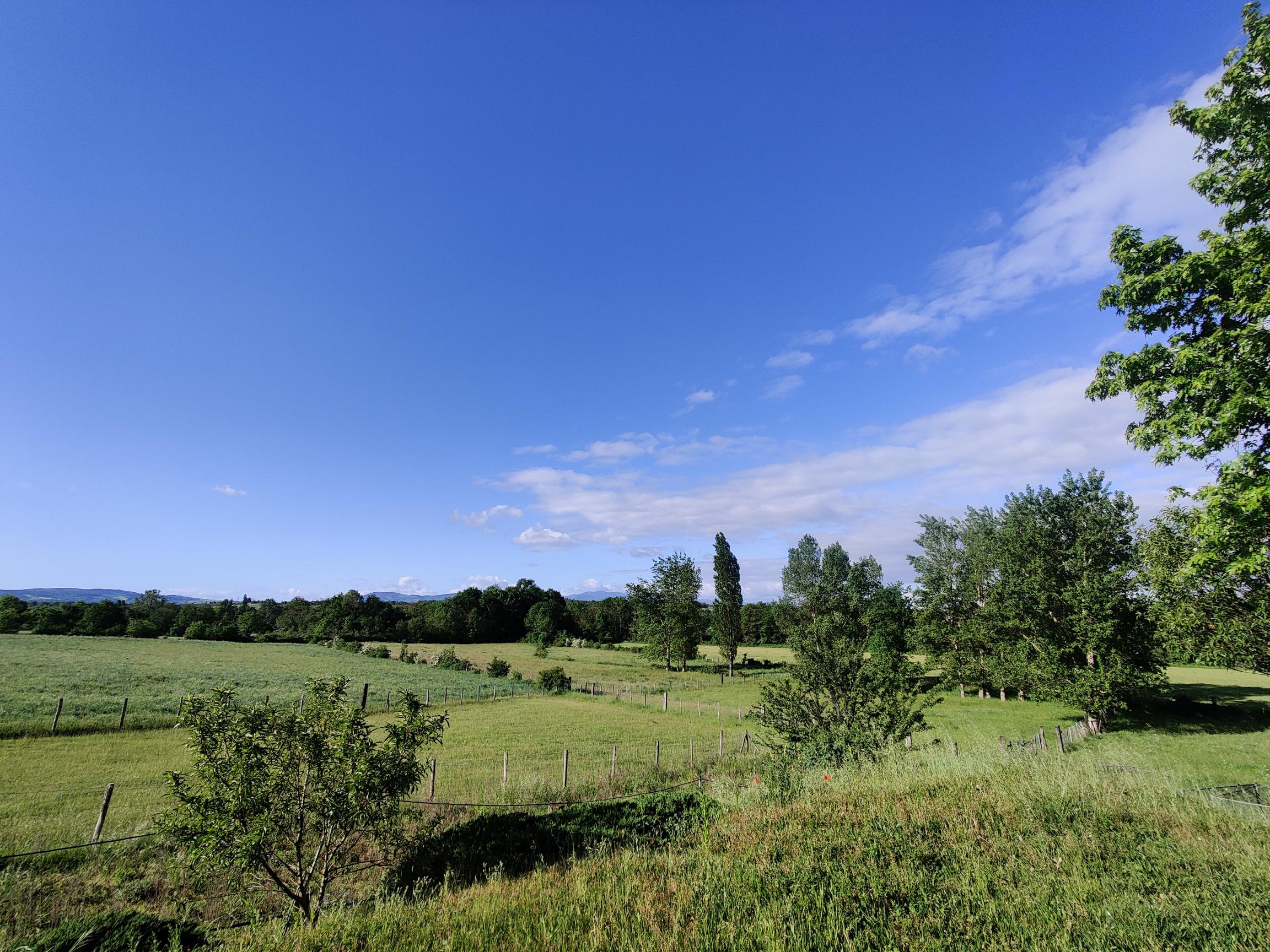 Urgent et rare  ferme renovee