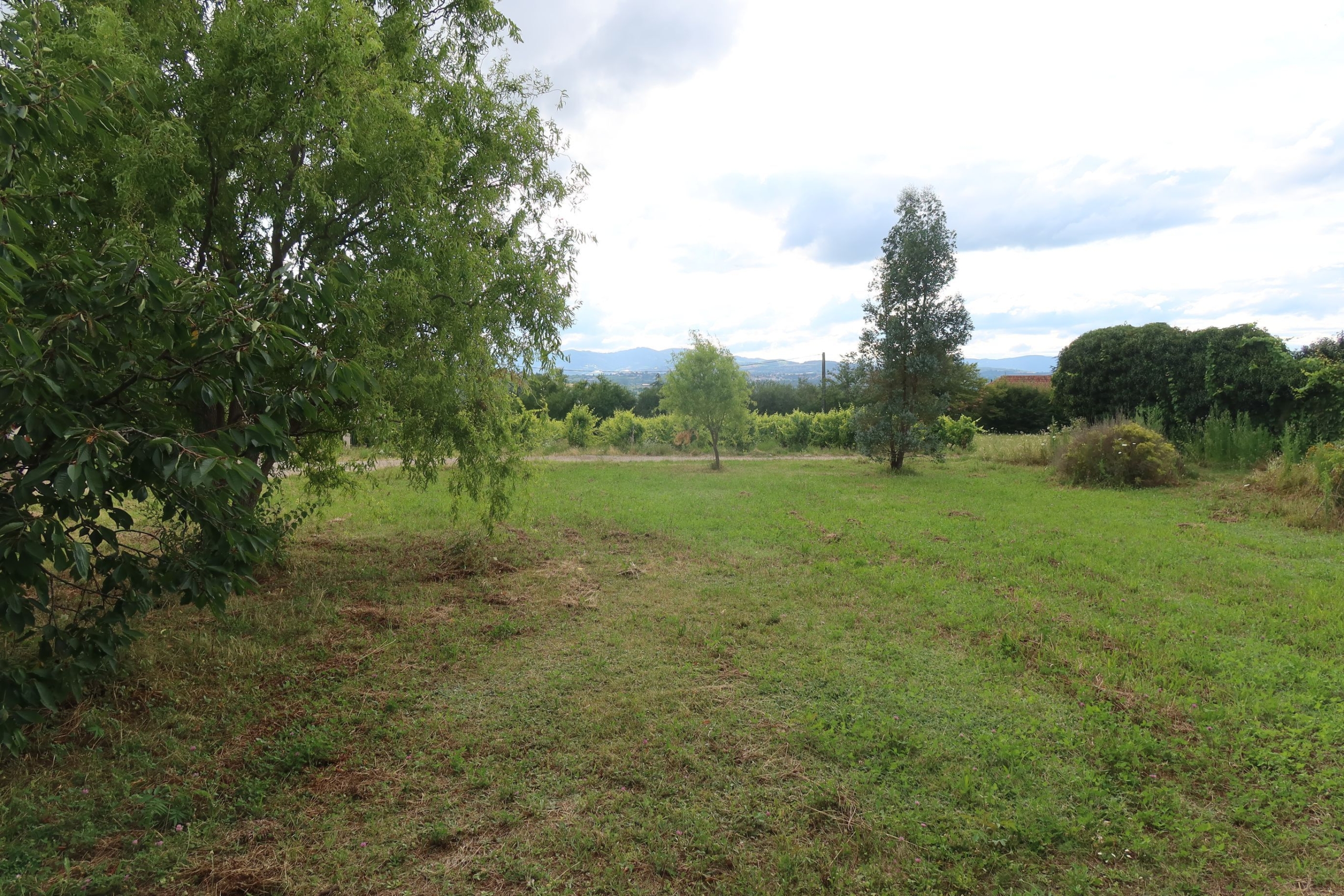 A 20′ au so de lyon , à millery , tb terrain constructible 640m²avec belle vue