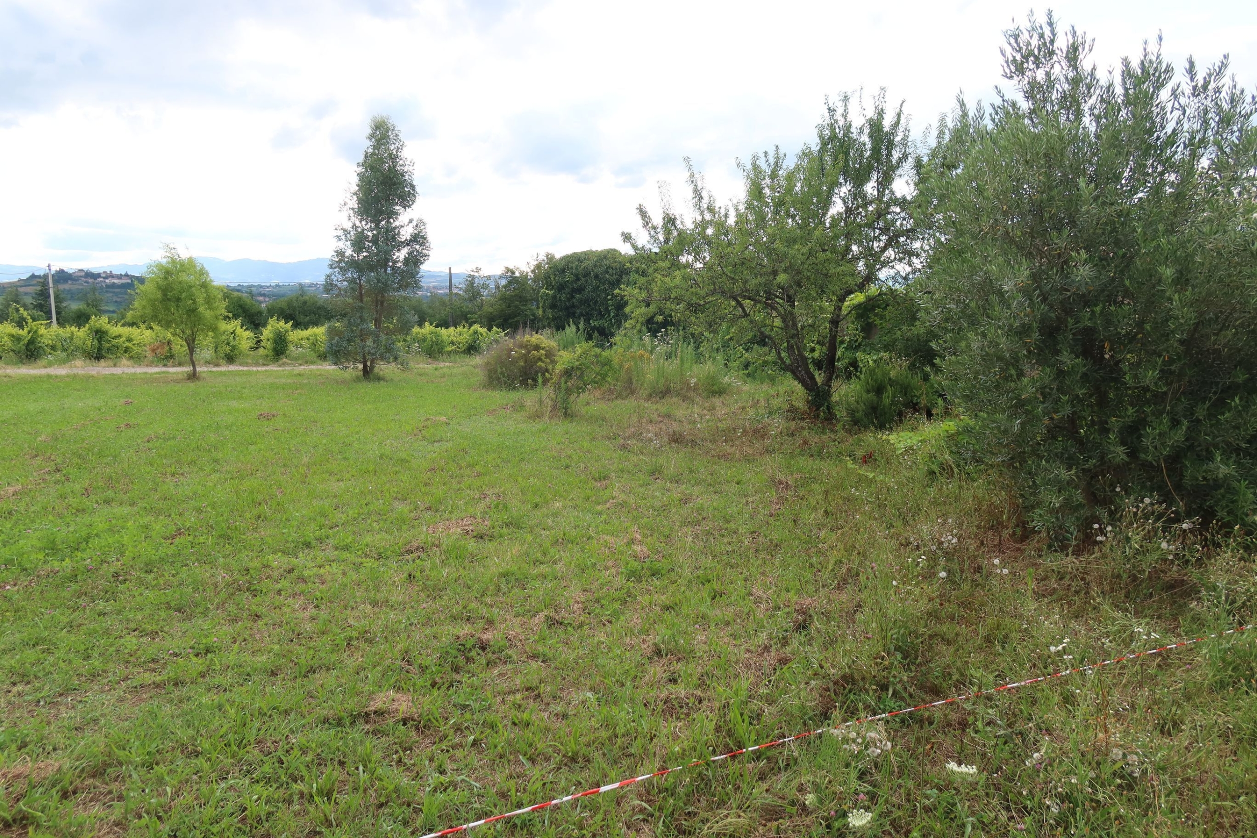 A 20′ au so de lyon , à millery , tb terrain constructible 640m²avec belle vue