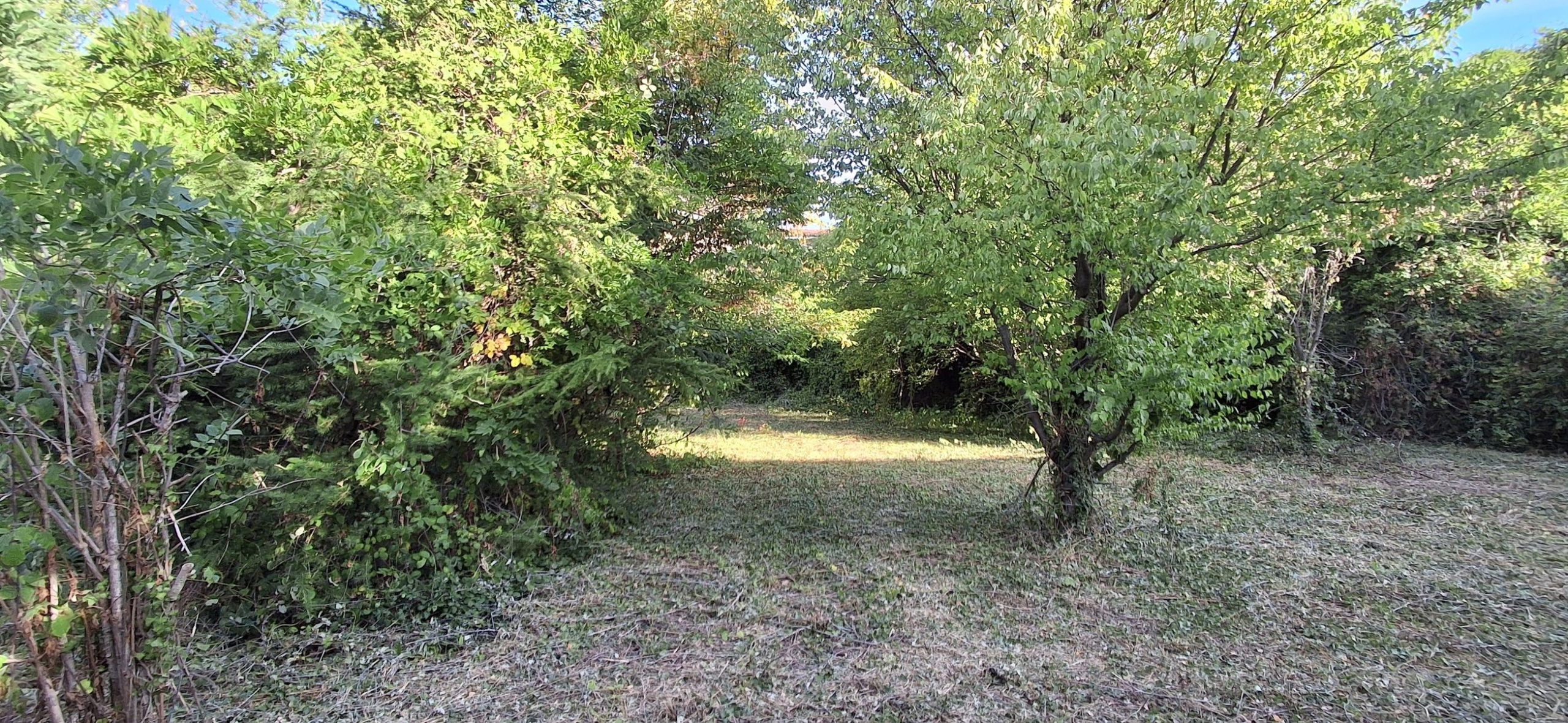 Taluyers a 20′ de lyon, ensemble immobilier a renover et diviser, sur 1000m² de terrain