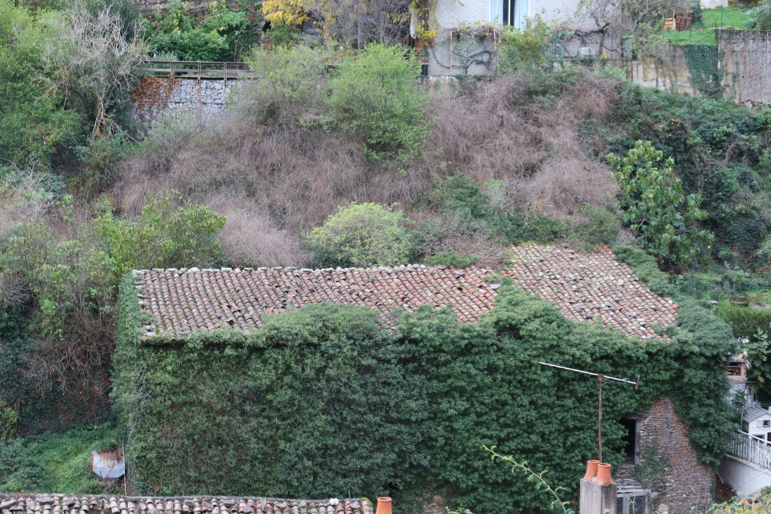 Vente Maison de village 110 m² à Dargoire 85 000 €