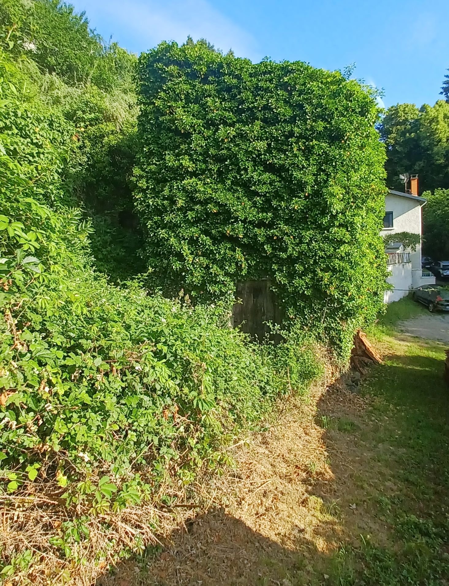 Vente Maison 210 m² à Dargoire 105 000 €
